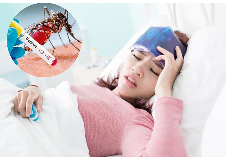 Chăm sóc người bệnh sốt xuất huyết