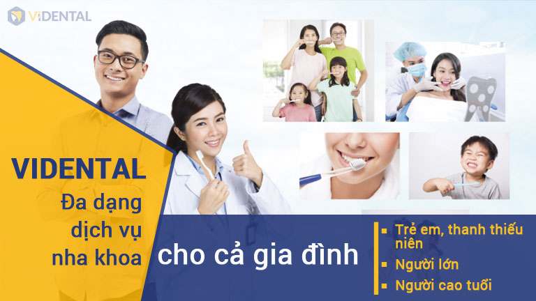 Vidental cung cấp dịch vụ đa dạng cho nhiều nhóm đối tượng khác nhau