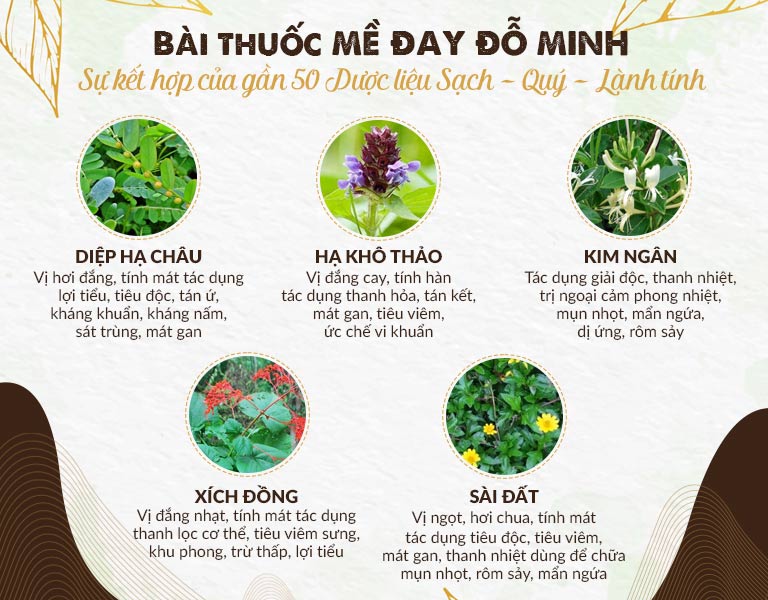 Thành phần thảo dược thuần Việt dùng điều chế bài thuốc mề đay Đỗ Minh Đường